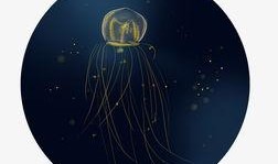 水母漫画,奇幻海洋中的奇幻冒险